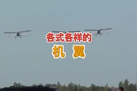 带你认识各种各样的飞机机翼#航空科普 #知识分享 #涨知识视频封面