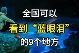 全国可以看到蓝眼泪的九个地方，蓝眼泪观看全攻略，神秘的蓝眼泪，一起去看蓝眼泪。#旅行大玩家 #旅行推荐官 #旅游攻略 #蓝眼泪 #荧光海视频封面