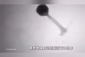 专家:各种病毒和细菌来到地球上已经超过34亿年了视频封面