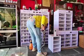 来自母亲的灵魂拷问！！！！  养蛇人不止神经病，心理变态视频封面