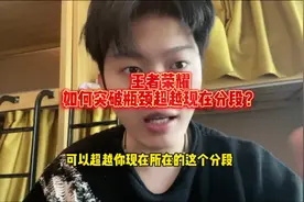 王者荣耀量化的上分指标你学还是不学？