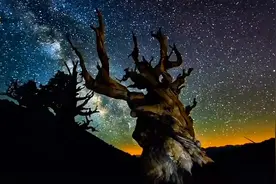 怎么说服一个反对你的人#知识分享 #国学智慧  #原创 #学习视频封面