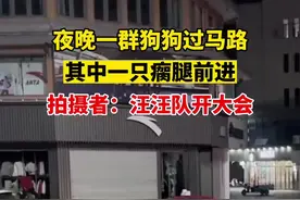 汪汪队开大会！夜晚一群狗狗过马路，其中一只瘸腿前进。@胖头余A视频封面