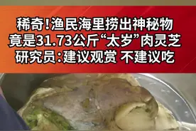 稀奇！#渔民海里捞出近32公斤太岁肉灵芝 研究员：建议观赏 不建议吃@DOU+小助手 #开眼界了视频封面