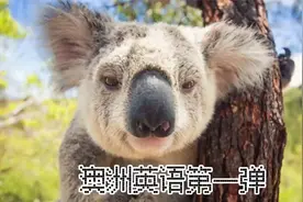 吐槽澳洲英语第一弹#澳洲英语视频封面