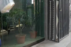 如果有一天我要去流浪，不是因为厌倦了家乡