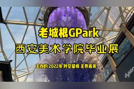 西安美术学院本科毕业展，6.11–6.24在老城根全街区呈现视频封面