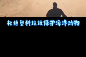 【塑战速决】43-救助被塑料绳缠住脖子的小海狮#拒绝塑料垃圾#海洋垃圾#塑料污染#保护海洋动物#保护海洋环境视频封面