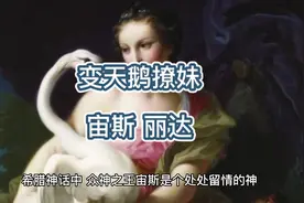 希腊神话 八：宙斯变天鹅撩妹 #民间故事 #神话故事 #人物故事视频封面