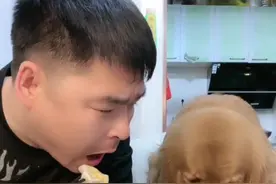这毛孩也太可爱了吧😢#金毛 #家有萌宠 #家有馋狗 @抖音短视频视频封面
