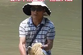 8月6日，河北石家庄。上游水库放水结束，石津干渠上演“捕鱼大战”！大家还是要注意安全！#政媒原创作者联盟 