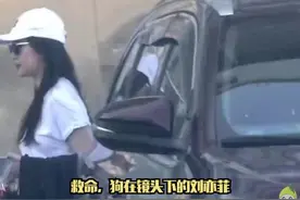 狗仔镜头下的#刘亦菲 也好漂亮呀~~~看起来很舒服自然~~视频封面