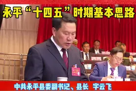 #两会 永平“十四五”时期基本思路@抖音短视频视频封面