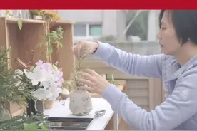 工作压力过大，女编辑33岁辞职，搬离都市住进深山，种菜插花，研究做菜。#生活 @抖音短视频视频封面