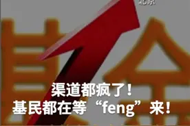 渠道都疯了！基民都在等“feng”来！邓晓峰和东方红张锋一起出手了#邓晓峰#东方红张锋#高毅资产视频封面