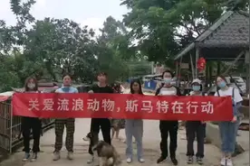#流浪猫 #流浪狗 【1颗[爱心] =10g狗粮视频封面