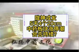 陇神戎发5天4个20厘米，中药板块涨停潮会否持续？#励志 #人生视频封面