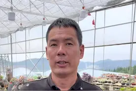 #多肉植物 #精品多肉 夏季暴晒叶片其次糊桩子晒糊晒干枯，浇水易黑腐控水缺水严重易干枯视频封面