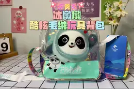 这可不是普通的冰墩墩毛绒玩具，出门逛街回头率100%必备神器视频封面