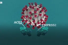 新冠疫情：病毒传染力惊人 原來跟人体鼻腔有关-BBC News 中文视频封面