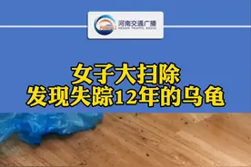 女子大扫除发现失踪12年的乌龟：养了1年陪了我12年视频封面