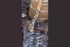 一个超基本的野外知识，但你可别忽略，温习一下吧！#户外 #露营 #探险 #野外生存视频封面