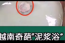 男女可以一起泡的越南奇葩“泥浆浴”视频封面