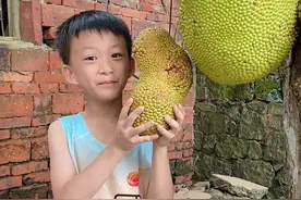 昨天拍完视频发现很多人不懂榴莲蜜和菠萝蜜的区别，今天给你们做下对比！#榴莲蜜视频封面