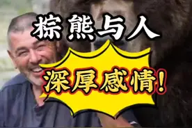 有时候征服猛兽并不需要武力@DOU+小助手 #棕熊 #野生动物 #动物世界 #爱护大自然保护野生动物 视频封面