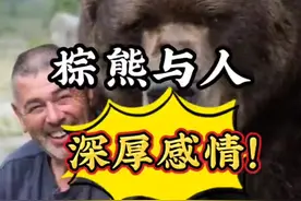 有时候征服猛兽并不需要武力@DOU+小助手 #棕熊 #野生动物 #动物世界 #爱护大自然保护野生动物 视频封面