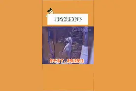 笑不活了~还有人没见过海马爸爸生孩子吗~#海马生宝宝 #奇妙的动物 