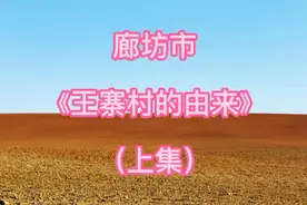 廊坊市王寨村的由来#历史文化 #廊坊#王寨视频封面