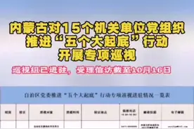 内蒙古对15个机关单位党组织推进五个大起底行动开展专项巡视#巡视视频封面