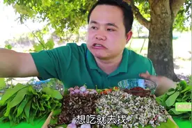 #泰国美食 泰国嗯哼哥凉拌红蚂蚁蛋 酸辣开胃 中文 中 合理饮食视频封面