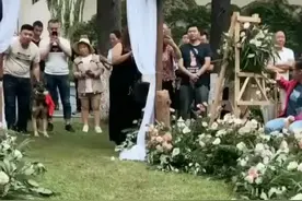 兵哥哥结婚现场，军犬也好乖#结婚 #兵哥哥 #军犬 #幸福 #抖音小助手视频封面
