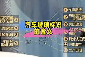 认真了解汽车玻璃上面的字母，就能知道汽车的很多信息！视频封面