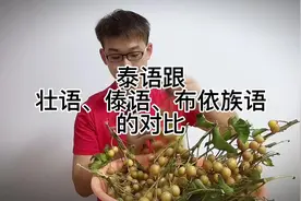 他们说广西人学泰语很简单，你们来看看泰语和壮语、傣语视频封面