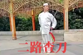 二路查刀(河南查拳，二趟刀)#中华传统武术 视频封面