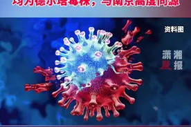 湖南省疾控中心已完成20例新冠病毒标本测序，均为德尔塔毒株，与南京高度同源视频封面
