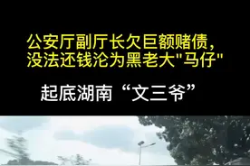 起底湖南“文三爷”：公安厅常务副厅长赌博欠巨额债务，没法还钱沦为黑老大"马仔"视频封面