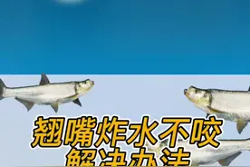 疯狂炸水但是没口，这种情况该怎么办#路亚翘嘴炸水不咬钩怎么办#翘嘴炸水不咬饵怎么钓#路亚翘嘴技巧和手法