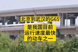 北京到武汉的动车速度惊人 #高铁视频封面