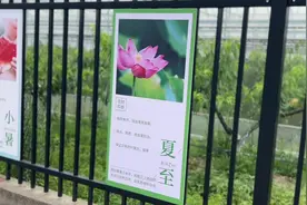 黄岩东魁杨梅来啦！个大汁多味甜堪称“杨梅王中之王”视频封面
