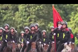 越南骑兵机动警察团首次亮相 可爱蒙古马实力抢镜视频封面