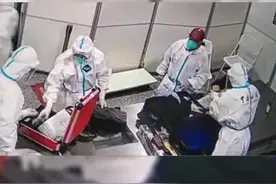 近日，深圳宝安机场海关查获玳瑁、西洋参等。