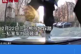 河北廊坊，熊孩子踩踏私家车前风挡，车主：一位家长已道歉@抖音短视频视频封面