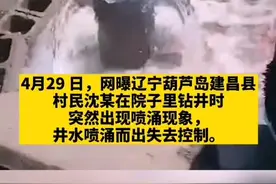 #辽宁农民打井打出一口喷泉，井水遍地横流，乡长调来挖掘机引渠