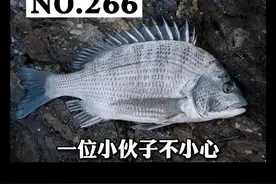 被海鱼鱼刺扎伤了，怎么办#护肤 #科普 #皮肤 视频封面