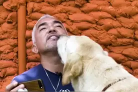 那只被Cesar"安乐”的#拉布拉多，现在咋样了？#教育成长计划 #萌宠出道计划 #doudream创作者计划视频封面