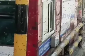 密集恐惧症慎入！轿车满车身爬满蜜蜂，收费站工作人员:系转运蜂箱车停留导致，已对现场进行喷洒#新疆dou知道 视频封面